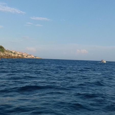 Apartment Vuk I Novak Ulcinj Exteriör bild