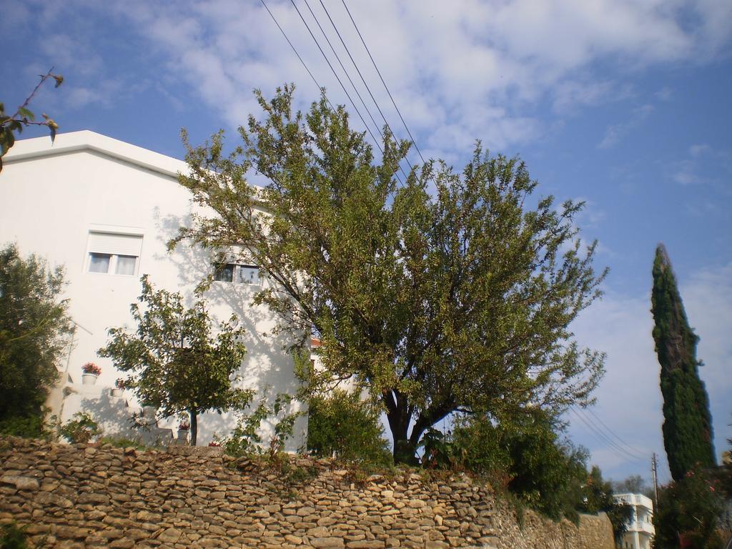 Apartment Vuk I Novak Ulcinj Exteriör bild