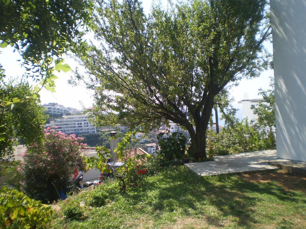 Apartment Vuk I Novak Ulcinj Exteriör bild