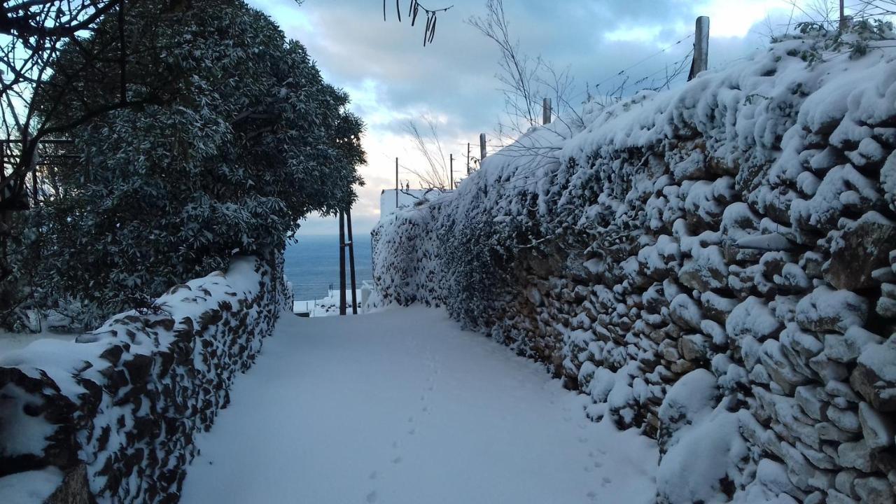 Apartment Vuk I Novak Ulcinj Exteriör bild