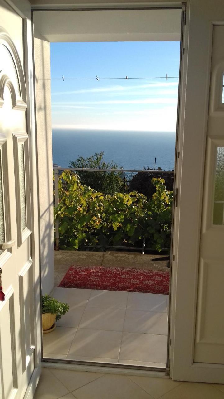 Apartment Vuk I Novak Ulcinj Exteriör bild